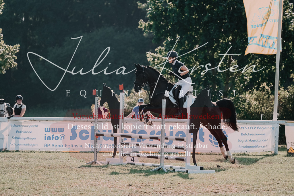 DSC_4703 | Pferde- und Turnierfotografie in Westsachsen. Pferdeportraits, Auftragszeichnungen und intuitive Kunst.