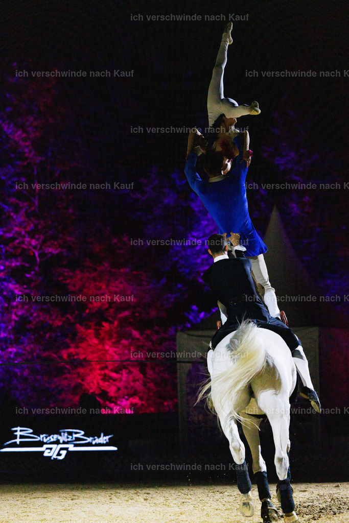 FHClassics-218 | working equitationturnier fotograf videograf stoibphotography marixx film working equitation deutschland reitsport turnierfotografie eventfotografie equestrian events