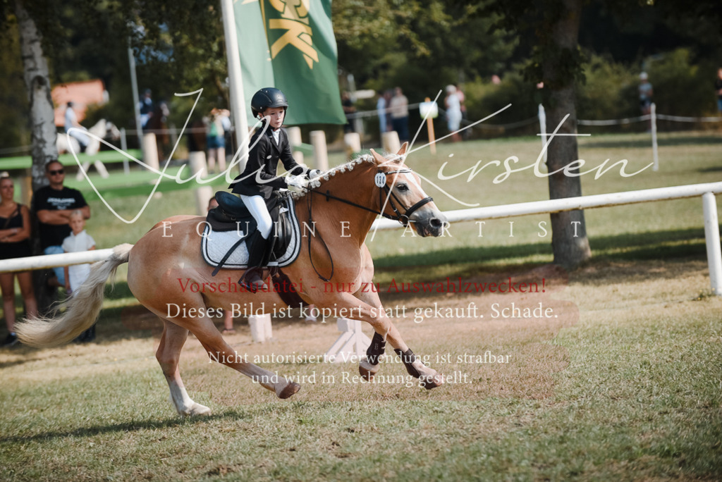 DSC_5212 | Pferde- und Turnierfotografie in Westsachsen. Pferdeportraits, Auftragszeichnungen und intuitive Kunst.