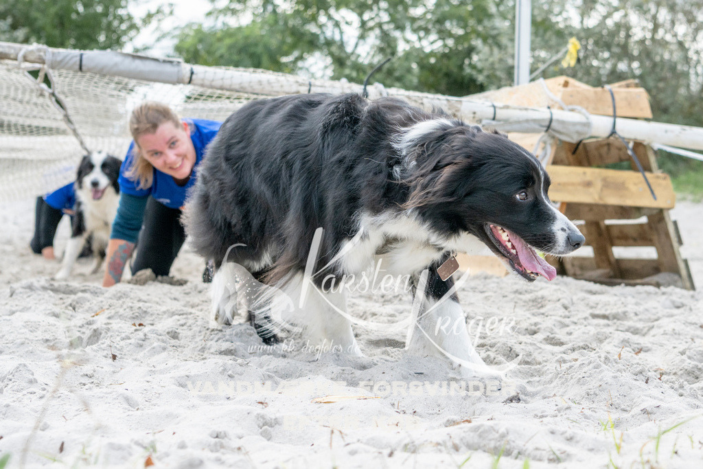 1219_ZZ90862 | kk-dogfotos