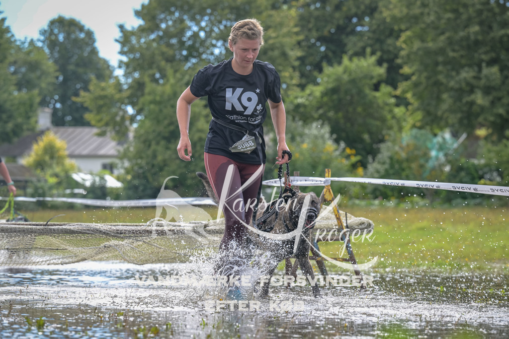 1327_ZZ91218 | kk-dogfotos