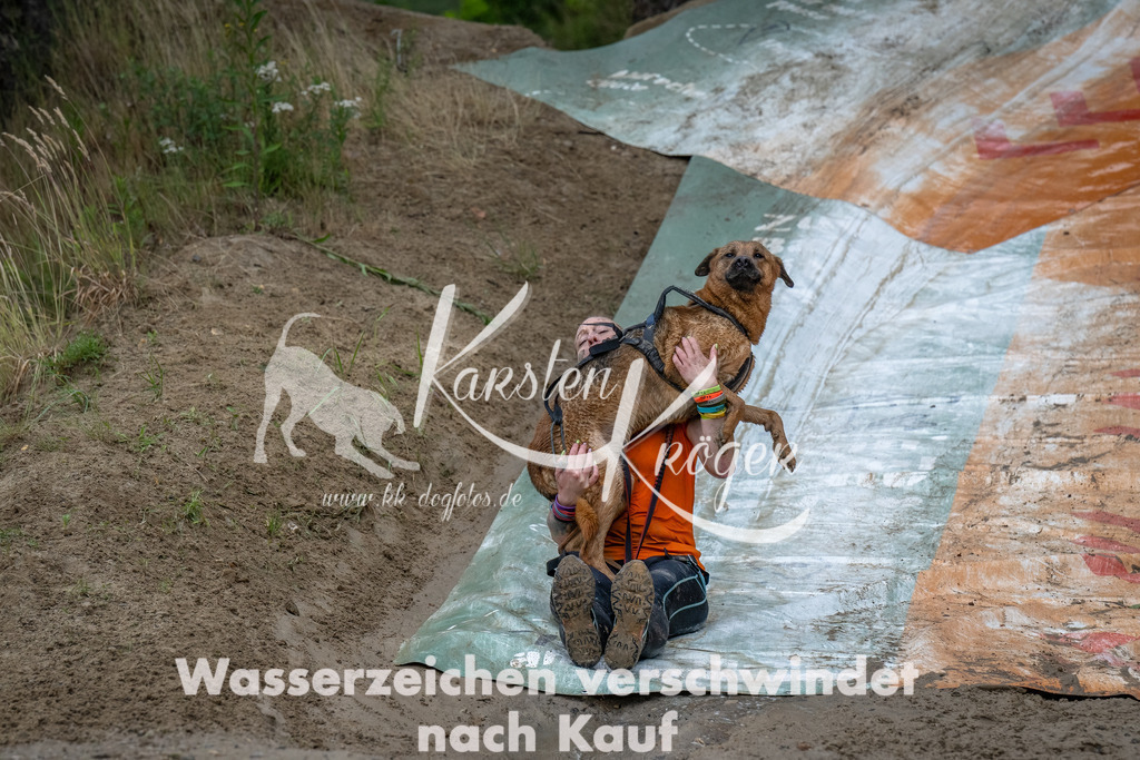 1622_ZZ91256-Bearbeitet | kk-dogfotos