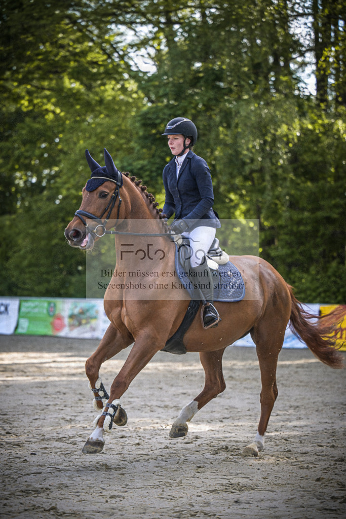 DOS_3932 | Entdecke hochwertige Reitturnierfotos von Foto Oger. Professionell, emotional und authentisch – jetzt Lieblingsmomente im Shop bestellen.Deutschlandweite Turnierfotografie. - Realisiert mit Pictrs.com