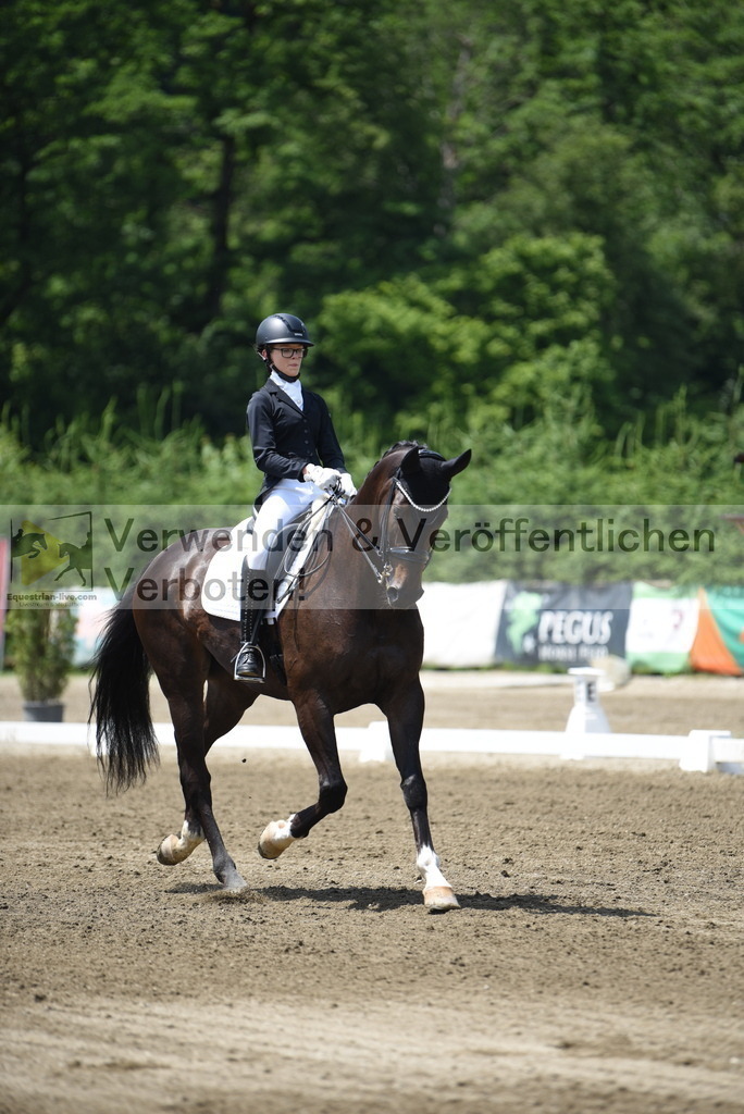 DSC_9791 | equestrian-live-com