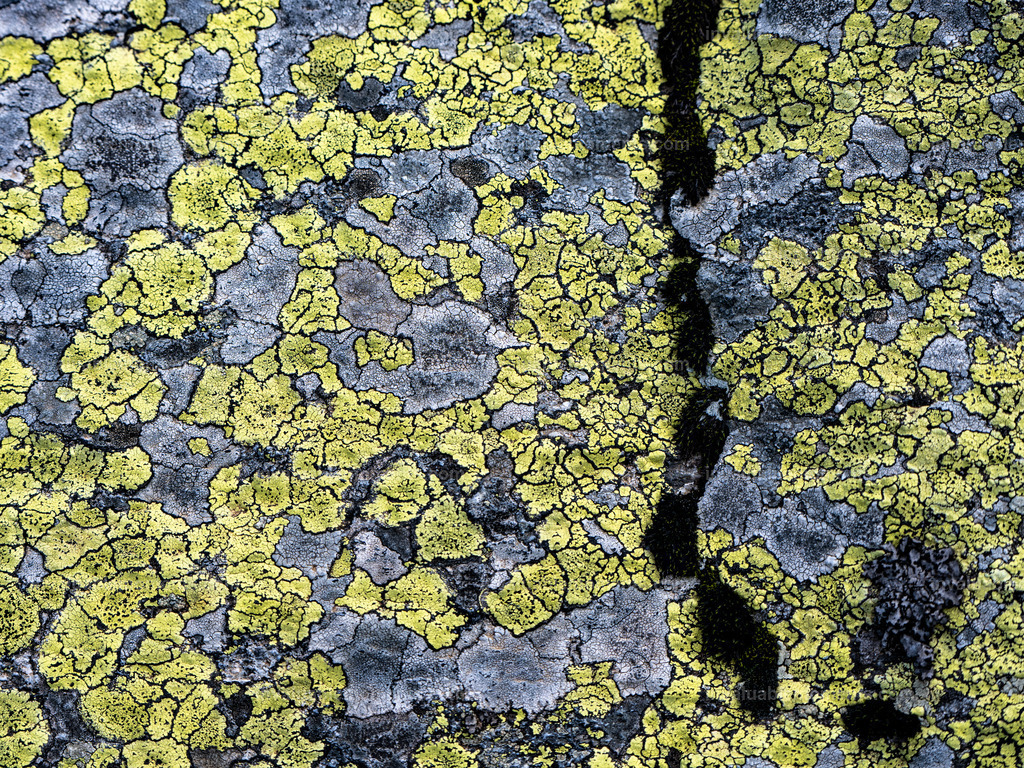 DSC_2524 | invaluablemoments.com - Realisiert mit Pictrs.com