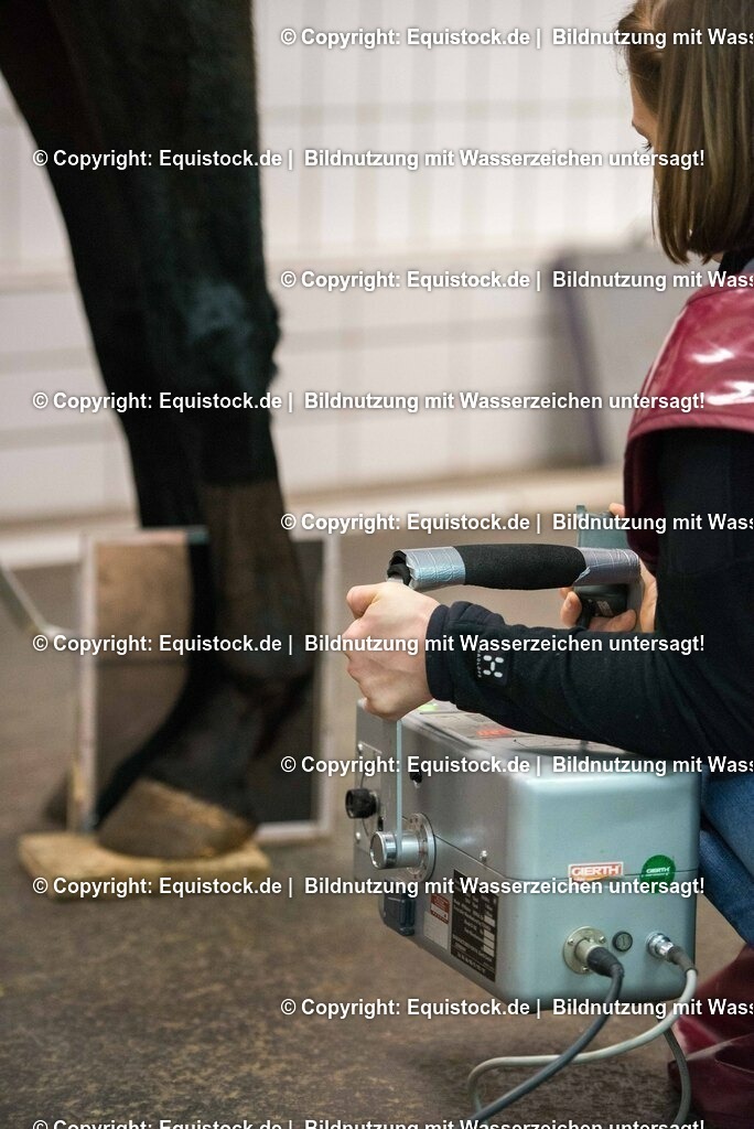 20170113_R__ntgen_0018 | Foto: Thomas Hartig