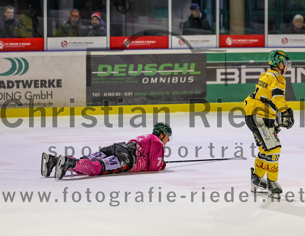 2025-10-28_149_TSV_Erding_gegen_Toelzer_Loewen | Erding, Deutschland, 28.10.2025:Eishockey, Oberliga Süd 2025 / 2026, 13. Spieltag, TSV Erding gegen Tölzer Löwen, Endergebnis: 2:5Pascal Steck (Erding Gladiators, #73), Alex Groß-Rubatscher (Tölzer Löwen, #91)Foto: Christian Riedel / fotografie-riedel.net