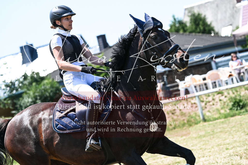 DSC_0284 | Pferde- und Turnierfotografie in Westsachsen. Pferdeportraits, Auftragszeichnungen und intuitive Kunst.