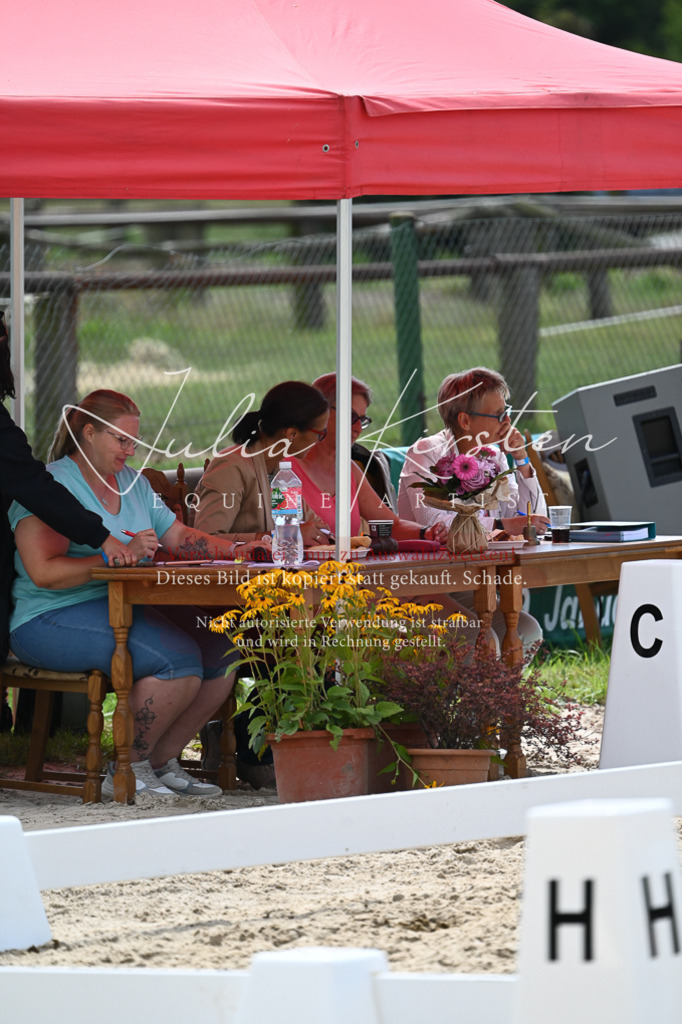 DSC_5178 | Pferde- und Turnierfotografie in Westsachsen. Pferdeportraits, Auftragszeichnungen und intuitive Kunst.