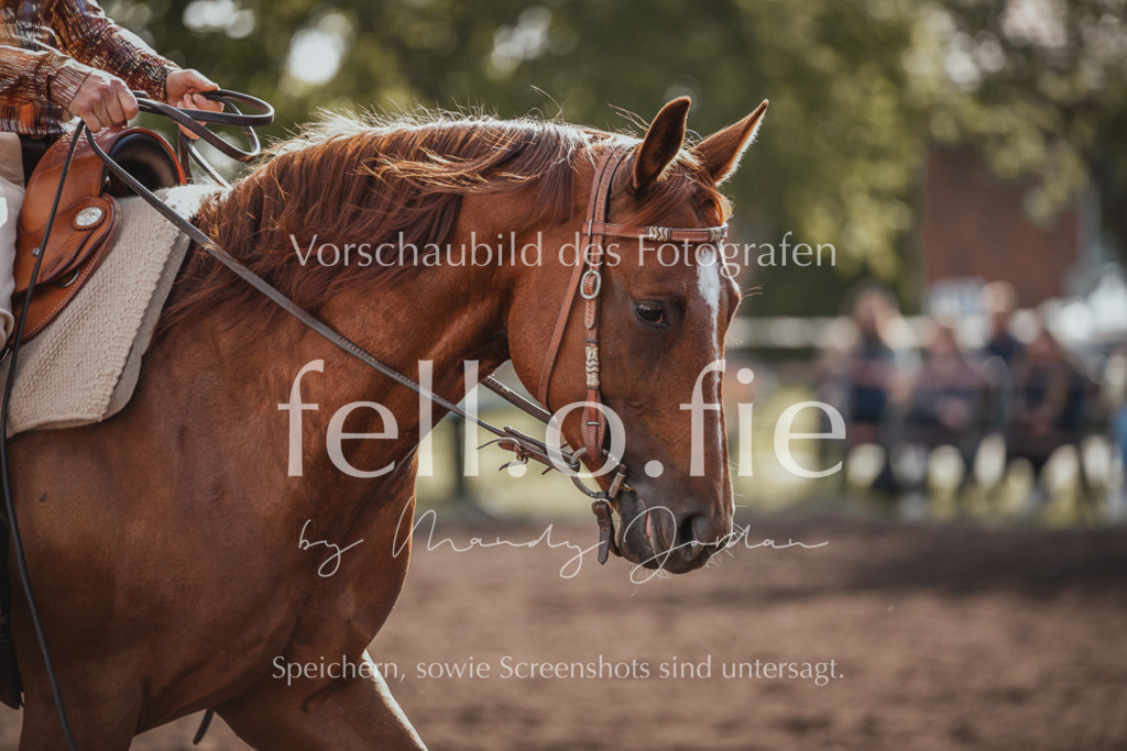fell.o.fie_mandyjordan_2024_06_01126 | Mandy Klecke Fellfotografie, fell.o.fie Fotografenshop - Realisiert mit Pictrs.com