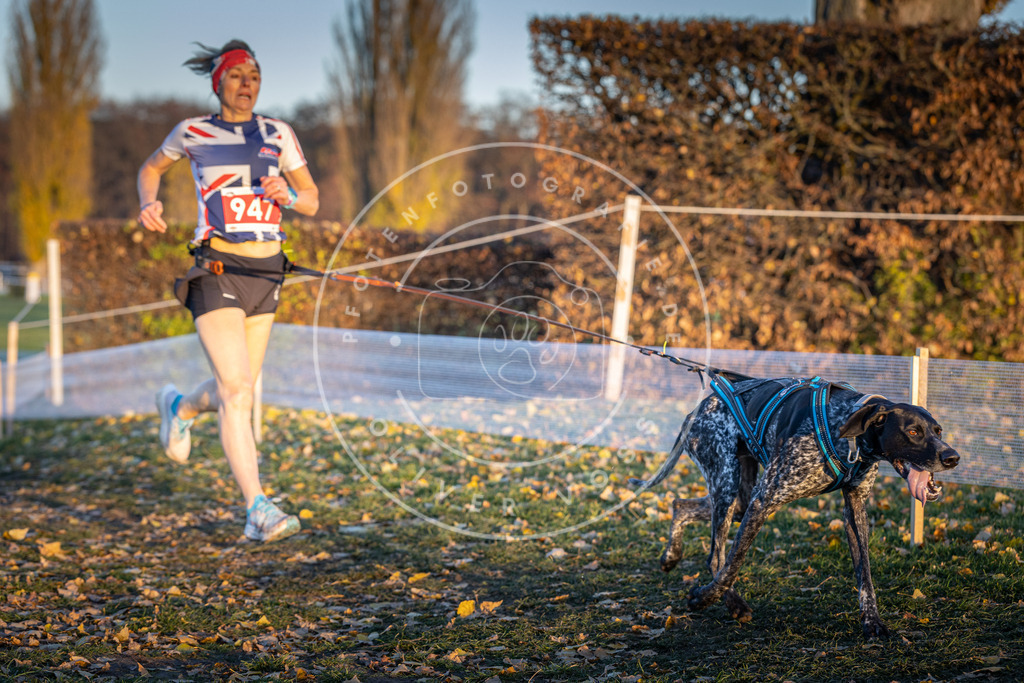 CaniXpix_DV3A5529 | Hundefotografie, Tierfotograf, Pfotenfotografie, Fotoshooting Hund, Hunde Portrait, Hundesport, Hundeportraits, Heideshooting, Hunde, Sportfotograf, Hundefotograf, Turnierhundsport, THS,  - Realisiert mit Pictrs.com