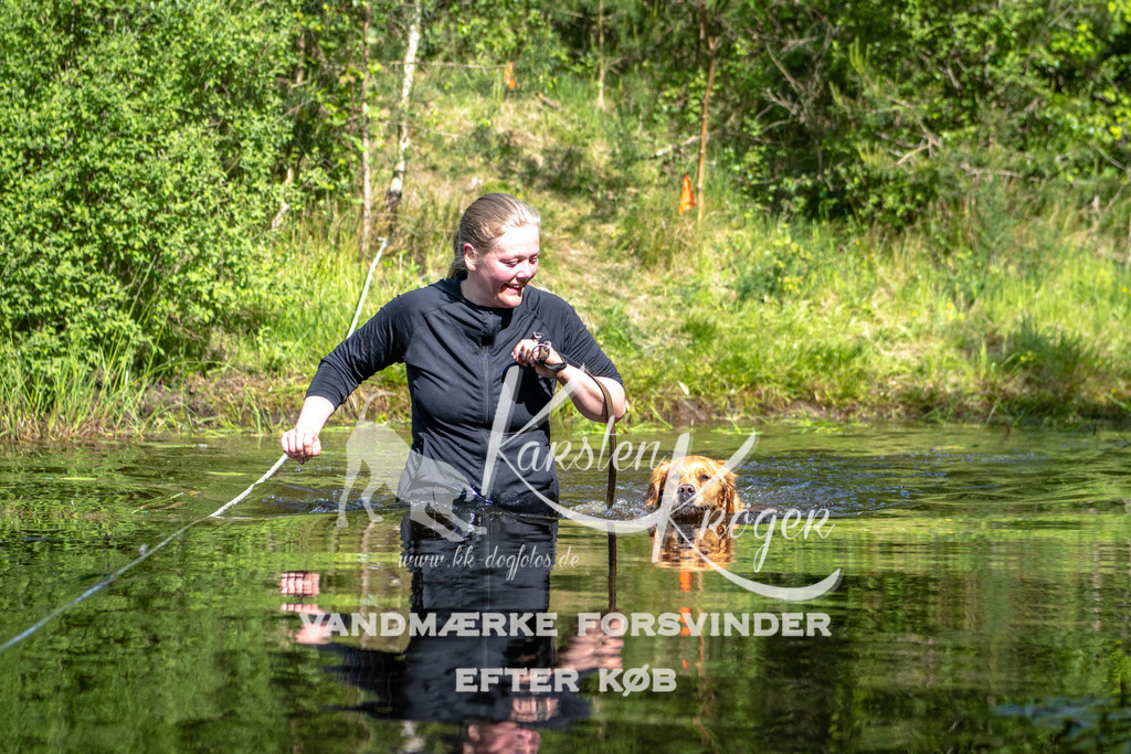 0950DKK9_ZZ93234 | kk-dogfotos