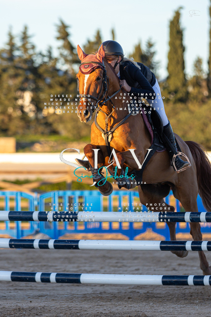 IMG_6074 | s-jay-photography - Realisiert mit Pictrs.com