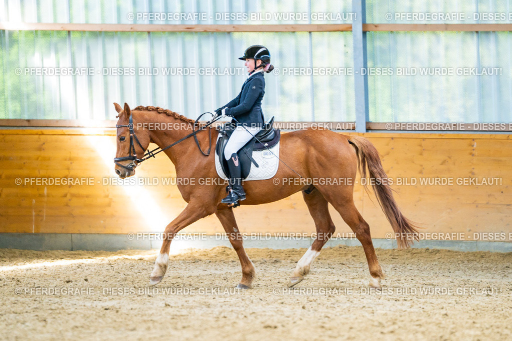 DSC08365 | Pferdegrafie