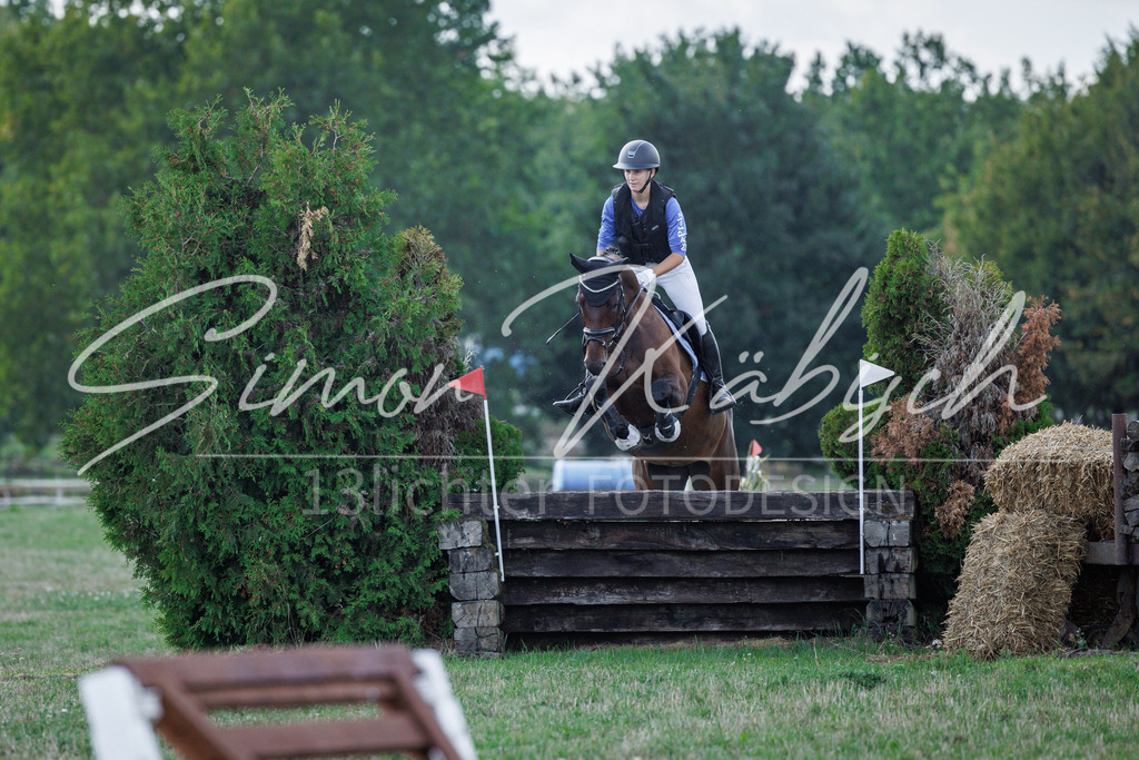 20260905-_3LI9612 | Tierfotografie Pferde, Hunde, Katzen, Haustiere.
Turnierfotografie Reitturniere, Reiten, Springreiten, Dressur in Hanau, dem Main-Kinzig-Kreis und dem Rhein-Main- Gebiet um Frankfurt