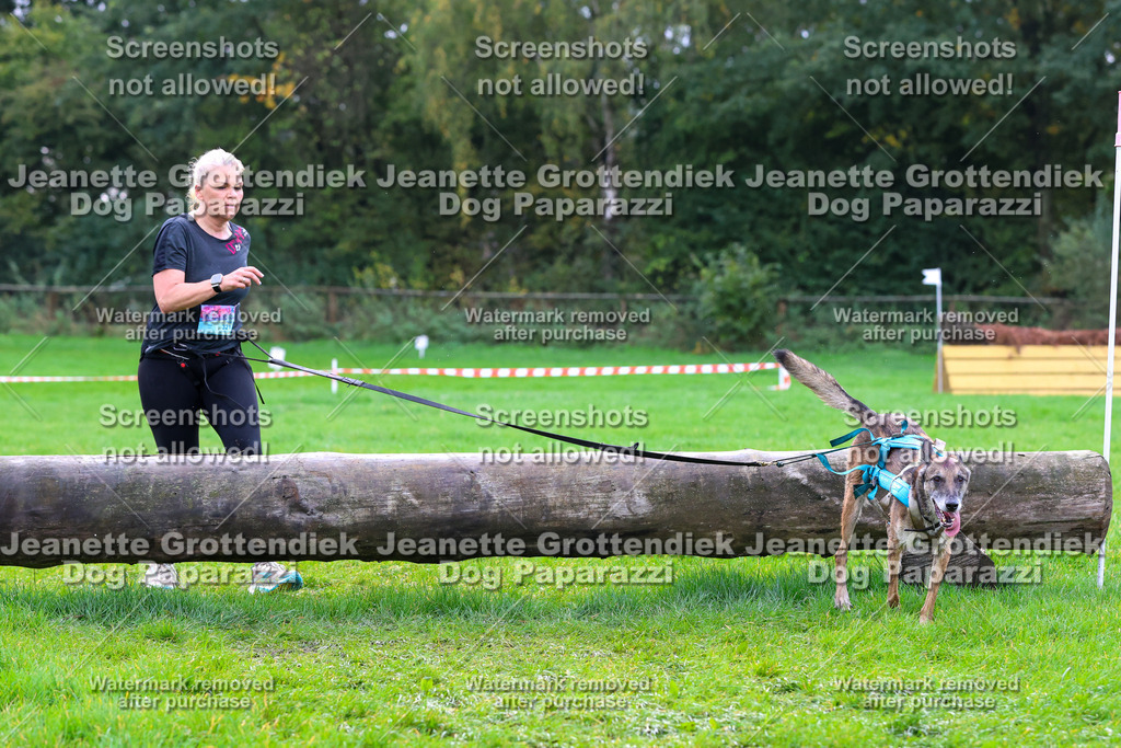 Dog Paparazzi -  SD1026-2106 | Dog Paparazzi Jeanette Grottendiek Fotografie & Videografie - Realisiert mit Pictrs.com