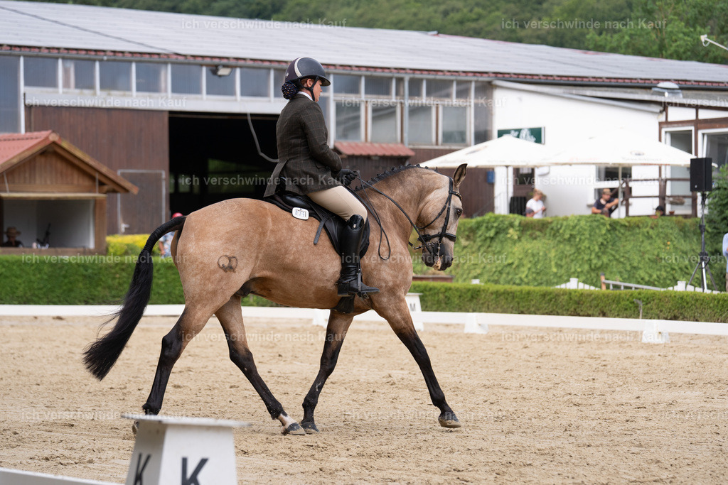 WS_DR_75_sinafilmart_IN00831 | working equitationturnier fotograf videograf stoibphotography marixx film working equitation deutschland reitsport turnierfotografie eventfotografie equestrian events