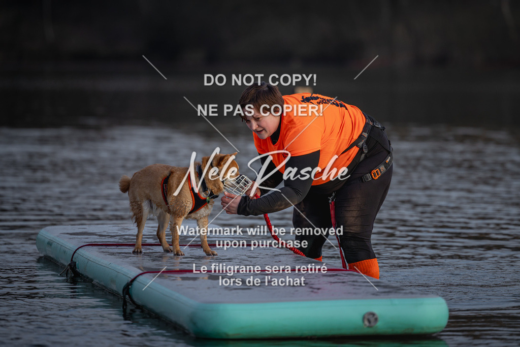 nelerasche_Hulsbeek_Sa1730-Ende_377 | nelerasche
