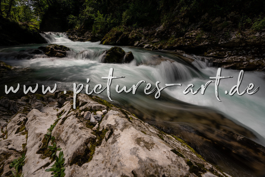 DSC09775 | pictures-art.de