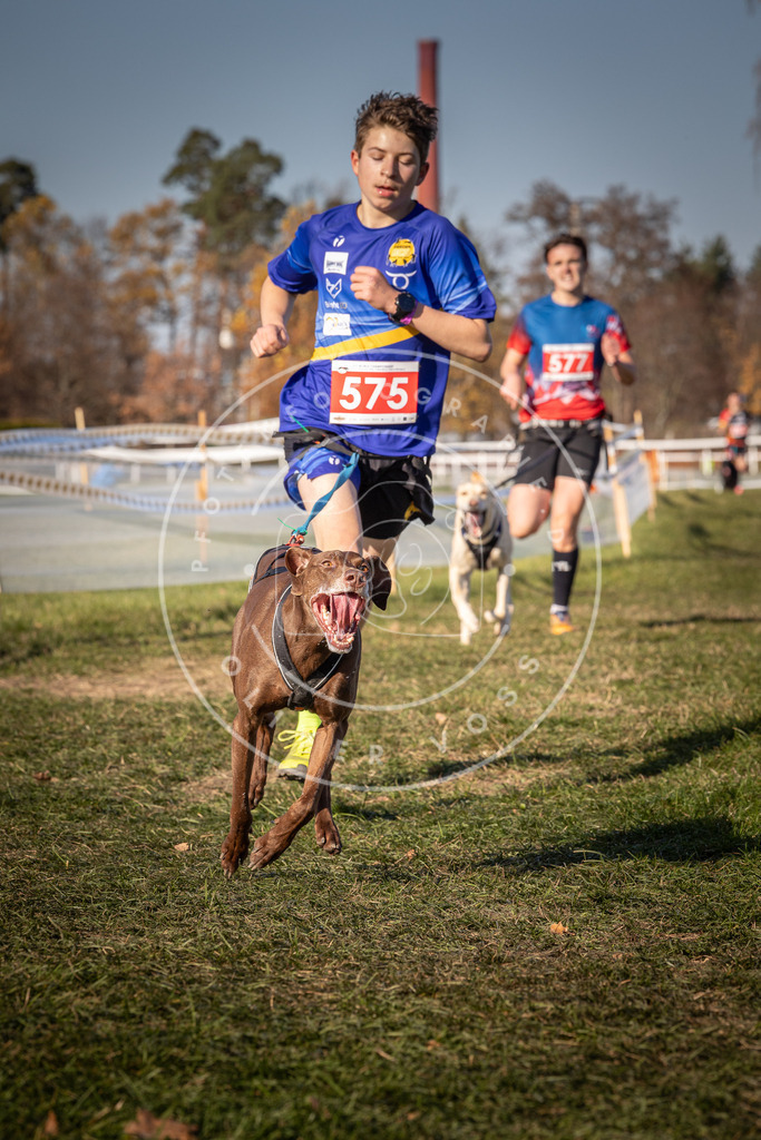 CaniXpix_0L8A8107 | Hundefotografie, Tierfotograf, Pfotenfotografie, Fotoshooting Hund, Hunde Portrait, Hundesport, Hundeportraits, Heideshooting, Hunde, Sportfotograf, Hundefotograf, Turnierhundsport, THS,  - Realisiert mit Pictrs.com
