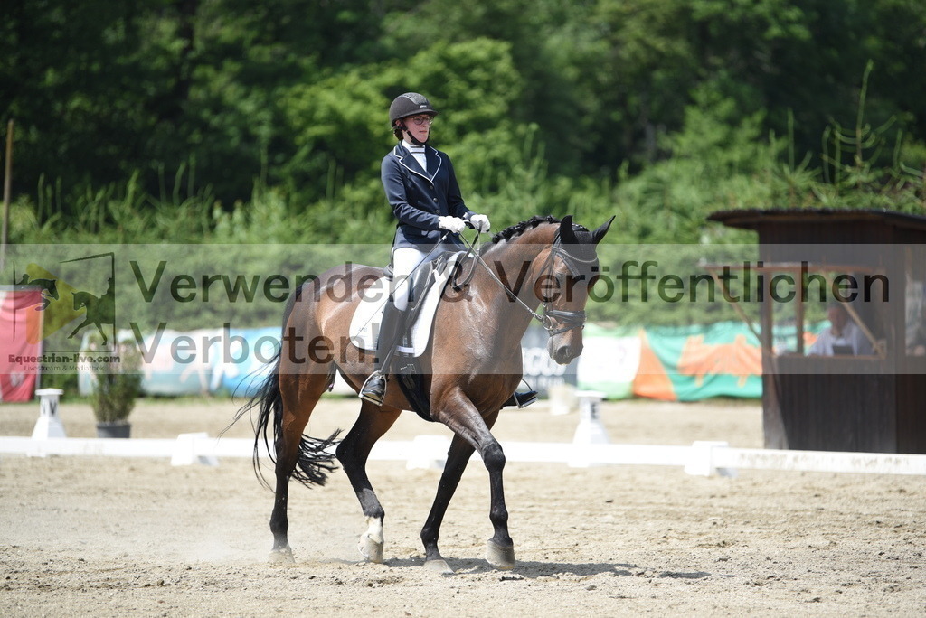 DSC_9473 | equestrian-live-com