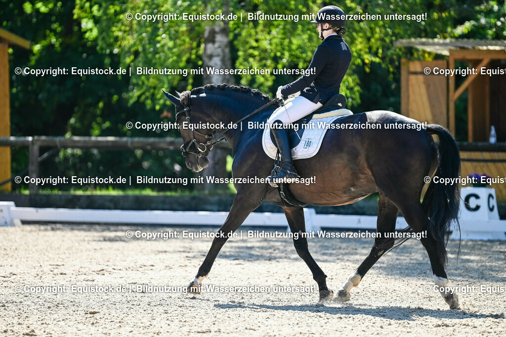 20230908_06_Dressur-L-Trense_0560 | equistock