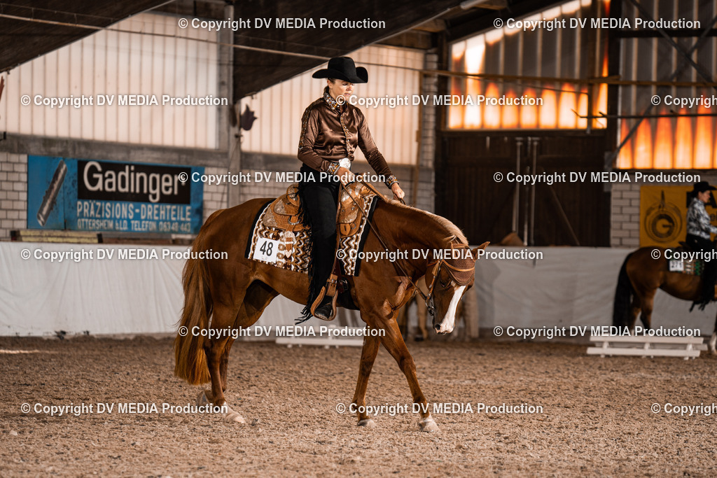 ZH100142 | dv-media-shop - Realisiert mit Pictrs.com