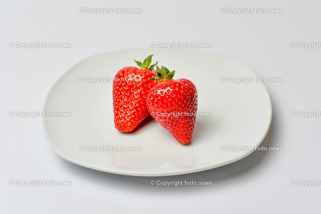 Erdbeeren Lehner_ Haag_ 17.05.2023-35 | 17.05.2023, Haag, AUT, Erdbeeren Lehner, im Bild Erdbeeren