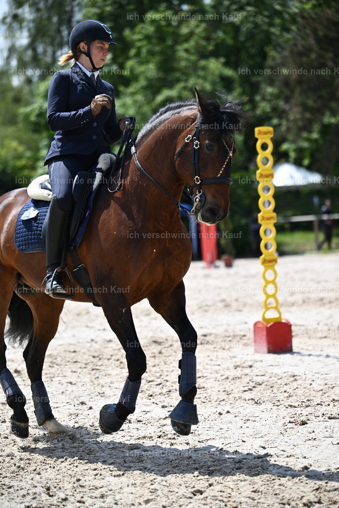 PI26_SP_Sara_Landvogt_226_5755.JPG | working equitationturnier fotograf videograf stoibphotography marixx film working equitation deutschland reitsport turnierfotografie eventfotografie equestrian events