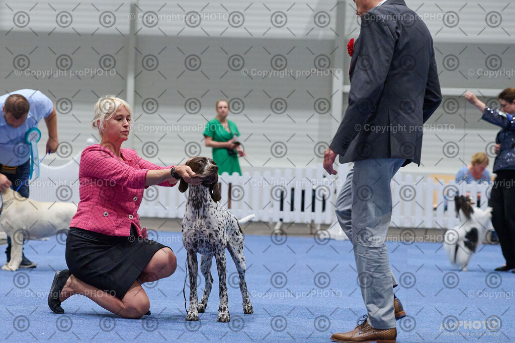 202406_ÖKV-IHA-Tulln24_DSC_3381 | proPHOTO - Realisiert mit Pictrs.com