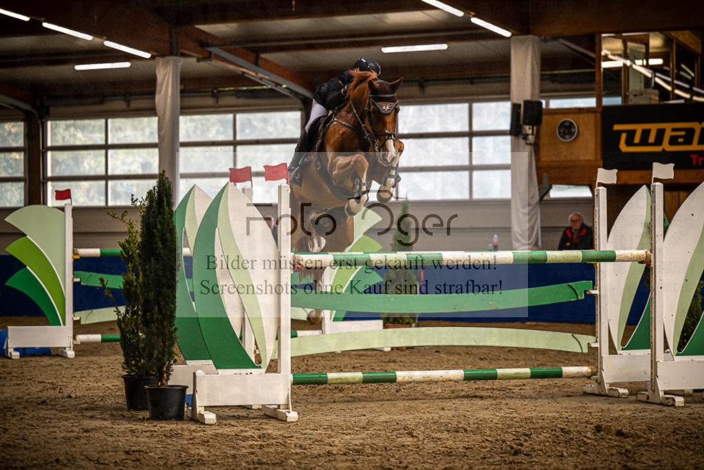 DOS_1346 | Entdecke hochwertige Reitturnierfotos von Foto Oger. Professionell, emotional und authentisch – jetzt Lieblingsmomente im Shop bestellen.Deutschlandweite Turnierfotografie. - Realisiert mit Pictrs.com