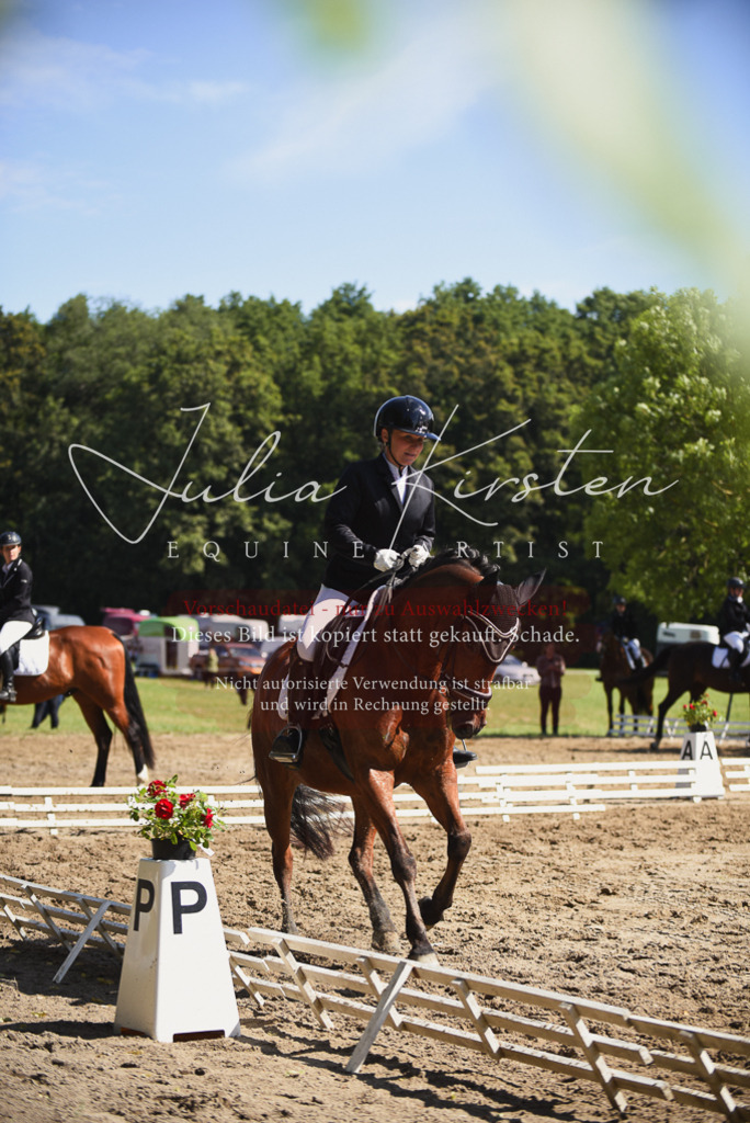 DSC_0391 | Pferde- und Turnierfotografie in Westsachsen. Pferdeportraits, Auftragszeichnungen und intuitive Kunst.