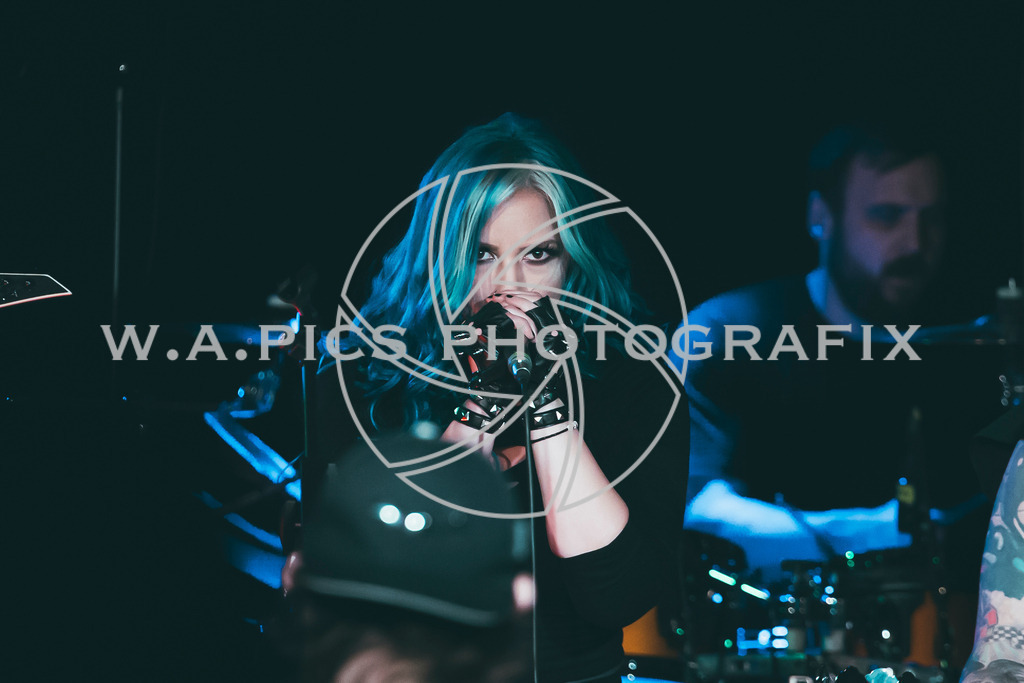 A-Willdoner_20260117_52 | Sport-,  Presse- und Eventbegleitung!
Contact me !
