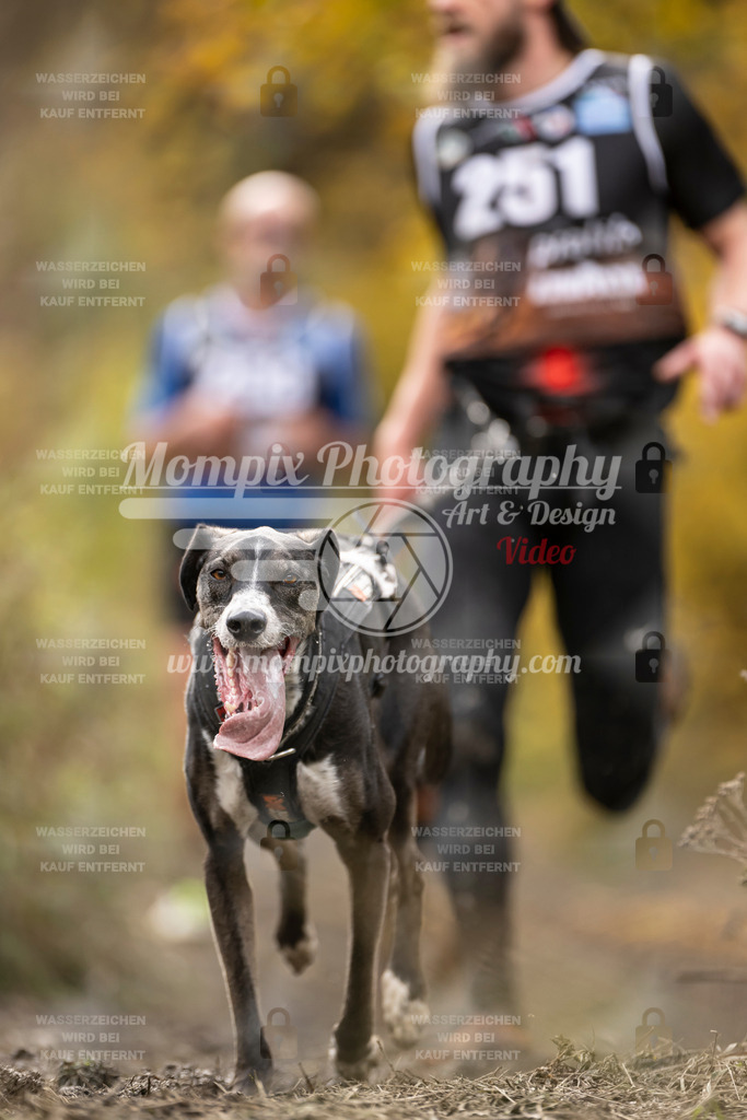 MompixPhotography_ICF_WC_2024_SA_Run_-42 | PayLife