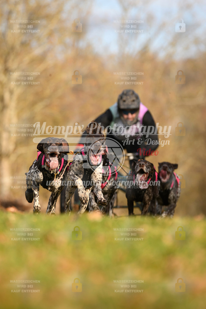 MompixPhotography_10Schwabentrail2026_SO_Kart-3 | PayLife