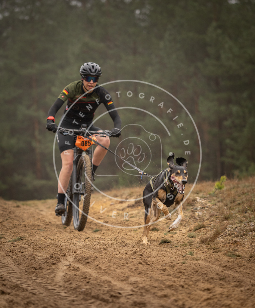 Pfotenfotografie_DV3A2842 | Hundefotografie, Tierfotograf, Pfotenfotografie, Fotoshooting Hund, Hunde Portrait, Hundesport, Hundeportraits, Heideshooting, Hunde, Sportfotograf, Hundefotograf, Turnierhundsport, THS,  - Realisiert mit Pictrs.com
