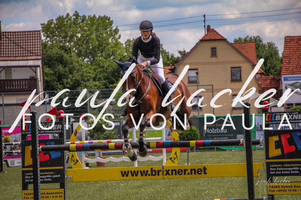 IMG_9202 | Erleben Sie dynamische Sport- und emotionale Tierfotografie in Süddeutschland mit Fotos von Paula. Spezialisiert auf Pferde- und Hundefotografie sowie Sportevents. Kontaktieren Sie mich für einzigartige und ausdrucksstarke Bilder Ihrer besonderen Momente. - Realisiert mit Pictrs.com