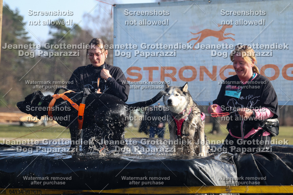 Dog Paparazzi - Strongdog North Mrz26-1387 | Dog Paparazzi Jeanette Grottendiek Fotografie & Videografie - Realisiert mit Pictrs.com