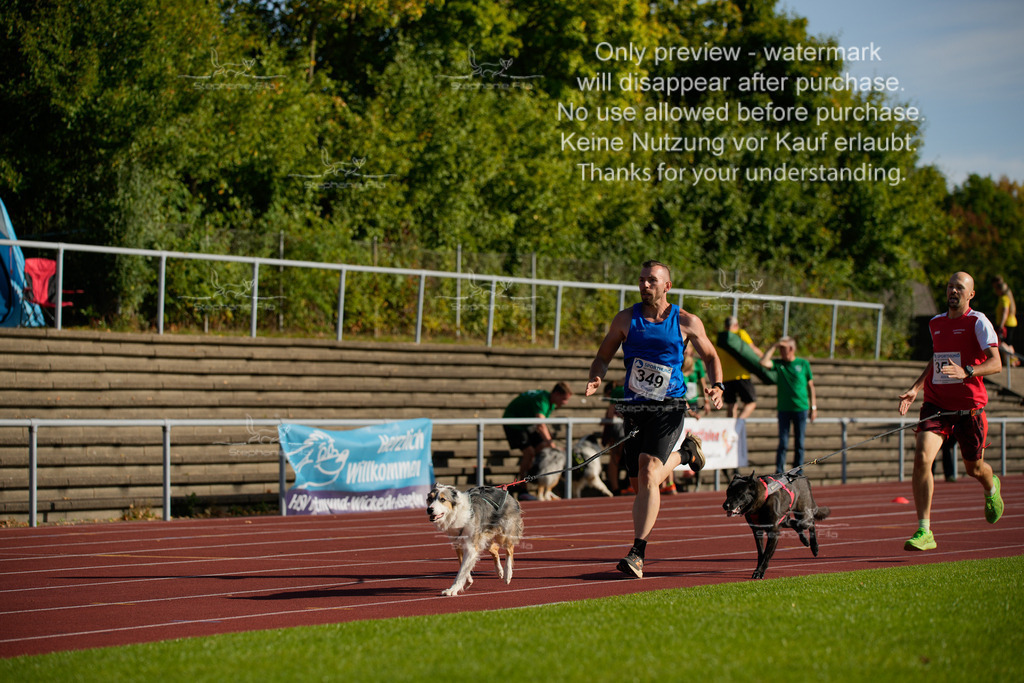 Sonntag_Staffel (206 von 336) | stephaniefillaphotographie - Realisiert mit Pictrs.com