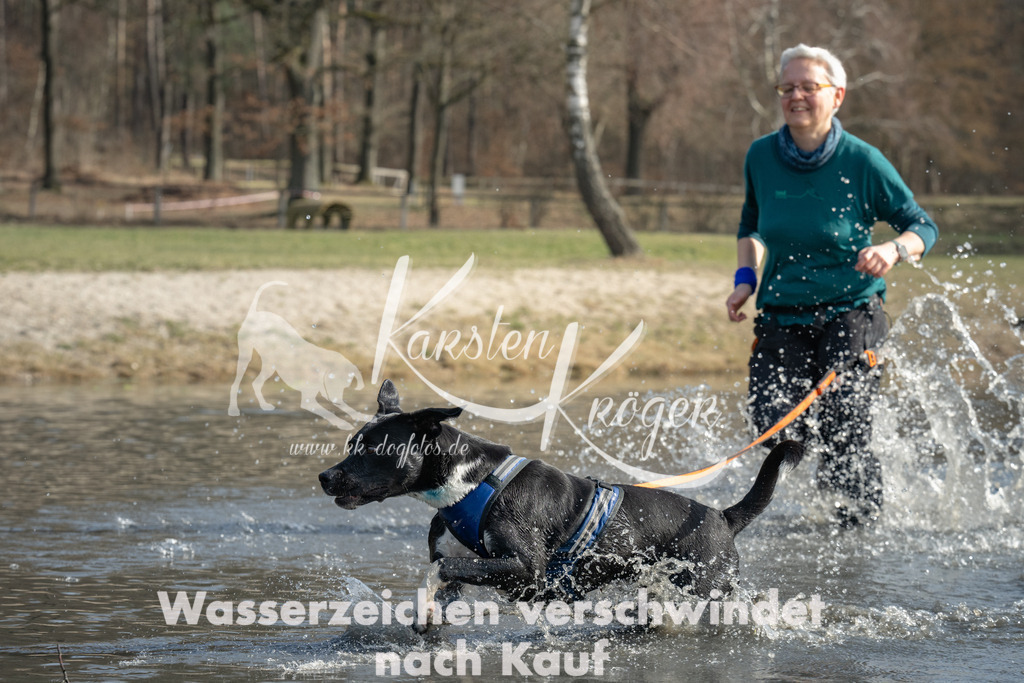 1219_ZZ98960 | kk-dogfotos