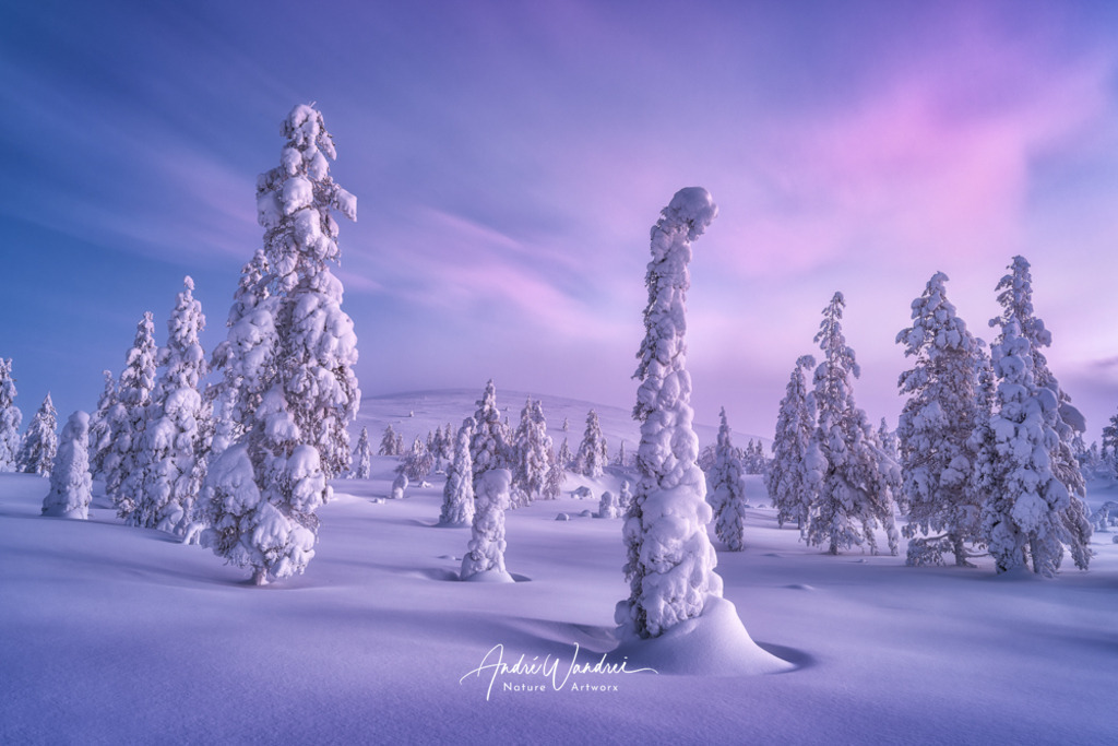 Schneelandschaft im magischen Licht | Andre Wandrei - Nature Artworx - Realisiert mit Pictrs.com