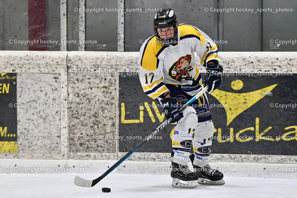 EC Tigers Paternion vs. Tarco Wölfe II | #17 Jonach Stefan EC Tigers Paternion, EC Tigers Paternion vs. Tarco Wölfe II, EC Tigers Paternion vs. Tarco Wölfe II am 19.12.2024 in Spittal an der Drau (Eissportzentrum Spittal), Austria, (Photo by Bernd Stefan)