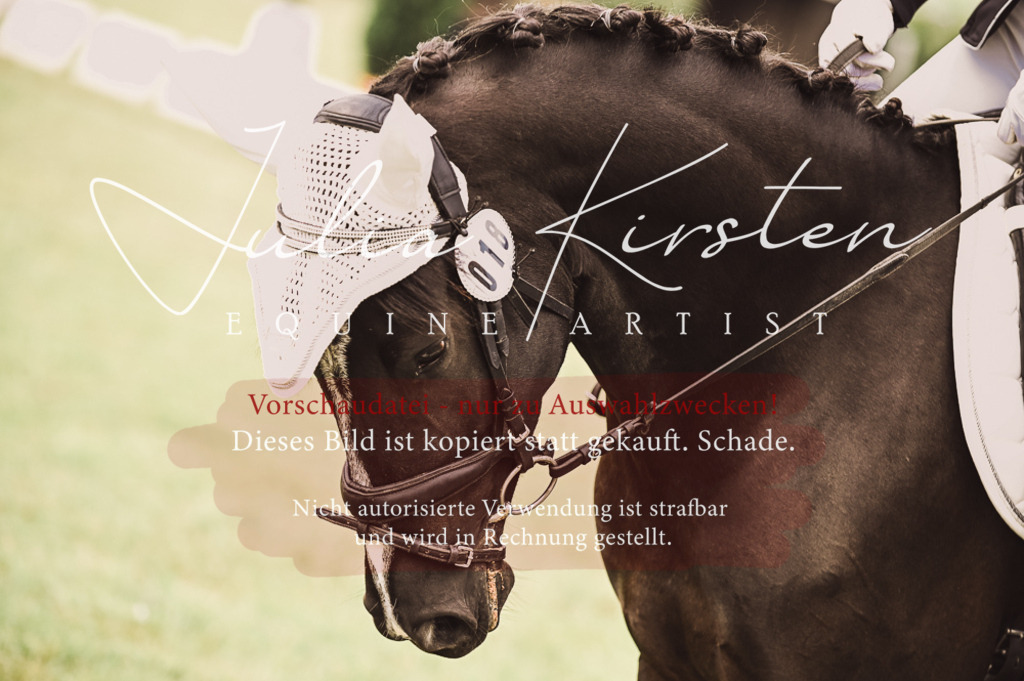 DSC_4805 | Pferde- und Turnierfotografie in Westsachsen. Pferdeportraits, Auftragszeichnungen und intuitive Kunst.