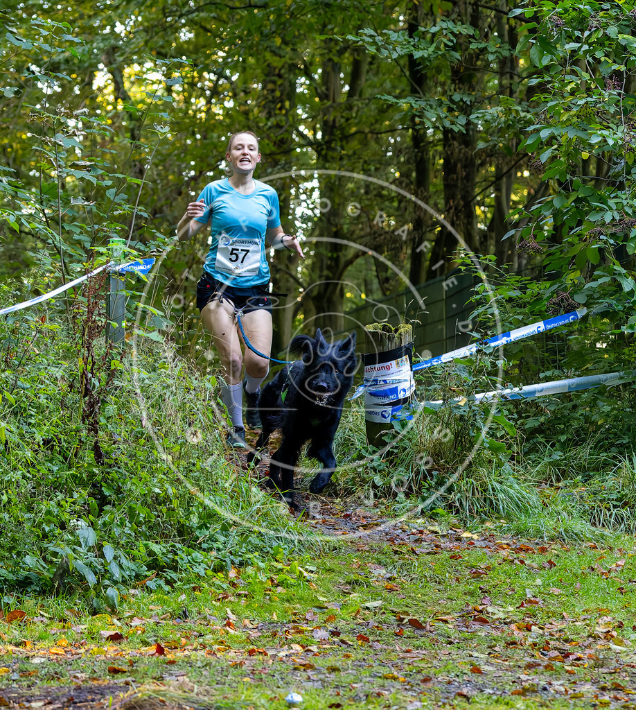 Pfotenfotografie_DV3A7119 | Hundefotografie, Tierfotograf, Pfotenfotografie, Fotoshooting Hund, Hunde Portrait, Hundesport, Hundeportraits, Heideshooting, Hunde, Sportfotograf, Hundefotograf, Turnierhundsport, THS,  - Realisiert mit Pictrs.com