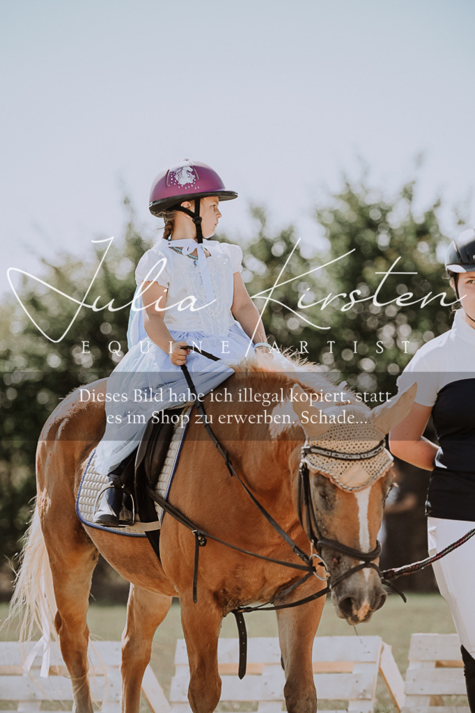 DSC_8899 | Pferde- und Turnierfotografie in Westsachsen. Pferdeportraits, Auftragszeichnungen und intuitive Kunst.