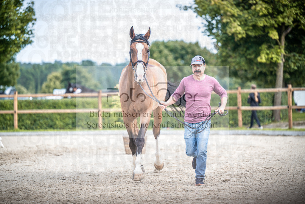 DOS_1098 | Entdecke hochwertige Reitturnierfotos von Foto Oger. Professionell, emotional und authentisch – jetzt Lieblingsmomente im Shop bestellen.Deutschlandweite Turnierfotografie. - Realisiert mit Pictrs.com