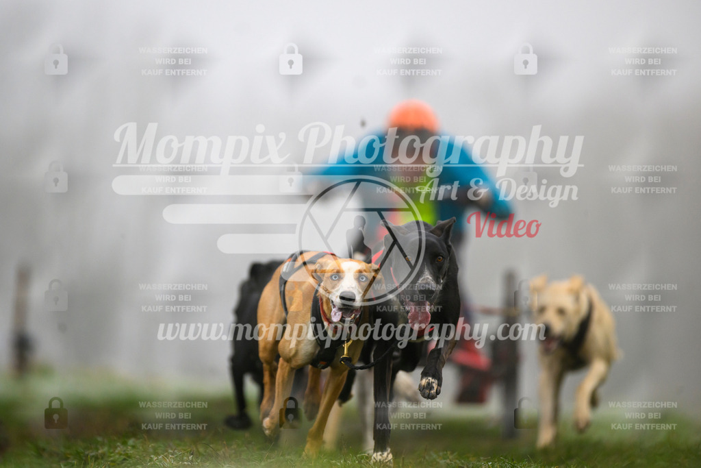 MompixPhotography_CDF2023_FFST_Di_Kart-54 | PayLife