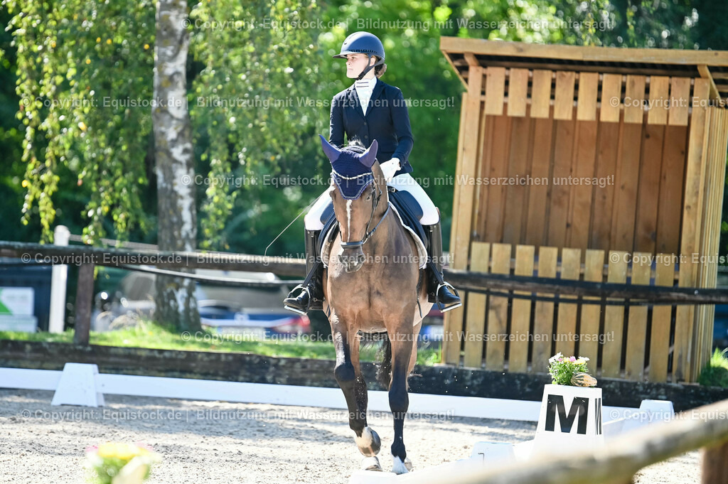20230908_06_Dressur-L-Trense_0385 | equistock