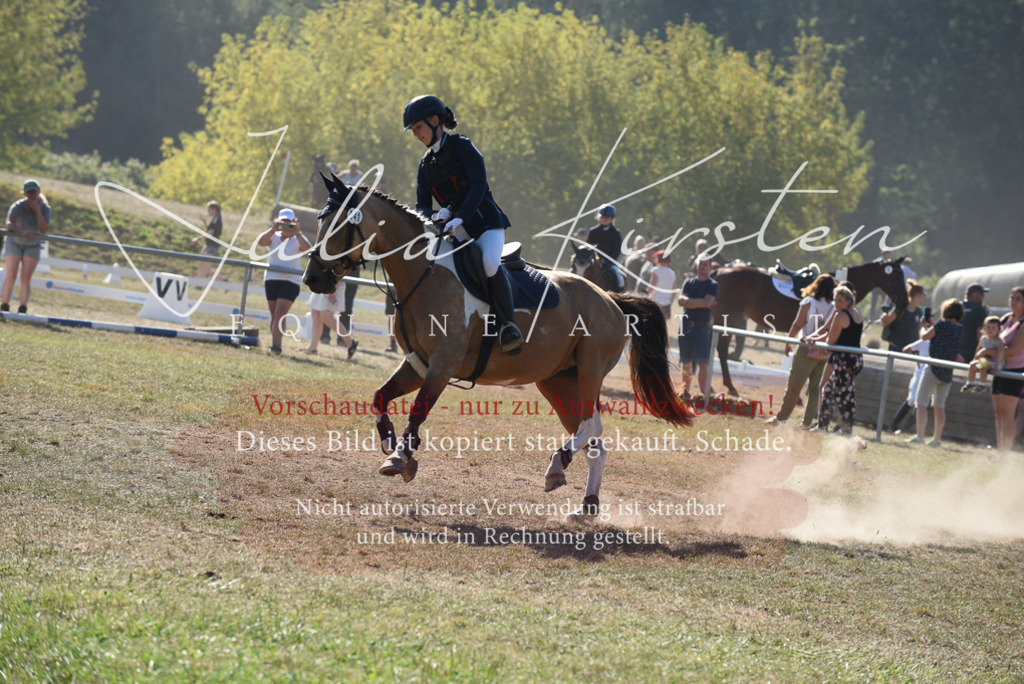 DSC_5978 | Pferde- und Turnierfotografie in Westsachsen. Pferdeportraits, Auftragszeichnungen und intuitive Kunst.
