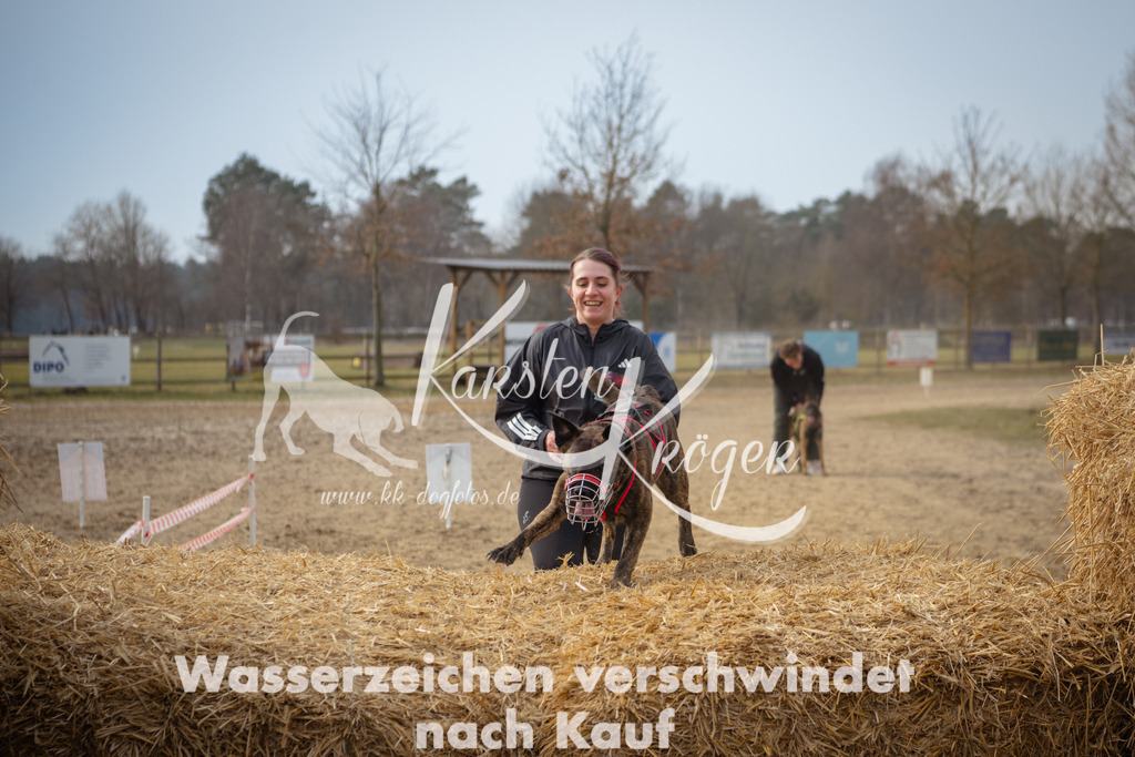 1047_ZZ99362 | kk-dogfotos